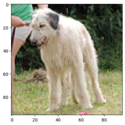 Imagen objetivo de un perro reconstruida a 96×96