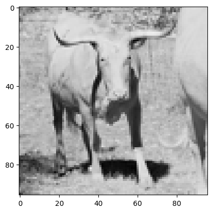 Ejemplo del conjunto de test: vaca en escala de grises